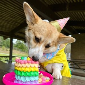 Meet your Posher, Cheyenne